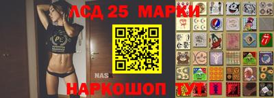 спиды Обь