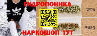 прущие крисы Нягань