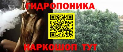 mix Новодвинск