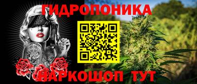 спиды Обь