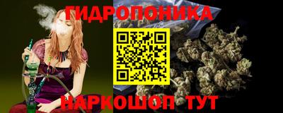 стаф Обнинск