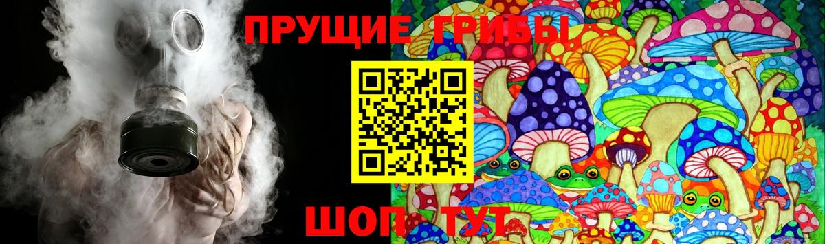 Торжок  как найти   Псилоцибиновые грибы MAGIC MUSHROOMS  Вход с VPN  Галлюциногенные грибы мухоморы 